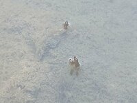 20230512_185150.jpg