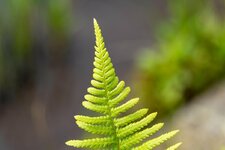 20230516-20230516-DSC05961.jpg
