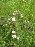 IMG_8480.JPG