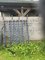 IMG_2958.jpeg IMG_2958.jpeg