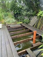 IMG_2956.jpeg IMG_2956.jpeg