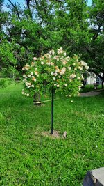 20230607_080548.jpg