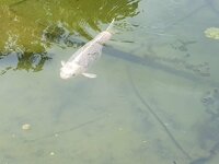 20230607_195117.jpg 20230607_195117.jpg