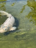 IMG_1021.jpeg