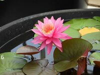 DSCN6797.JPG