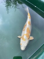 IMG_5248.jpeg IMG_5248.jpeg