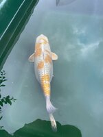 IMG_5251.jpeg IMG_5251.jpeg