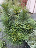 C7E55E57-0533-4C22-8407-30A11307017C.jpeg