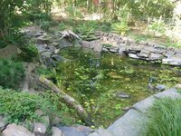 IMG_20230823_104719003.jpg