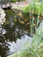 IMG_20230826_152044.jpg
