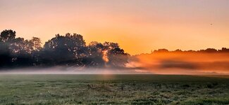 Sonnenaufgang_sunrise_Bodennebel_Feldmark_Sonnenstrahlen_FFF_970.jpg