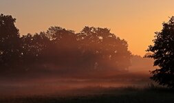 Sonnenaufgang_sunrise_Bodennebel_Feldmark1_1001.JPG