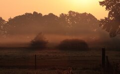 Morgenröte_sunrise_Sonnenaufgang_1000.JPG