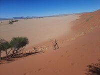 20240101_102152.jpg