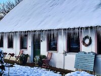 Reetdachhaus mit Eiszapfen an der Dachtraufe3_900.jpg