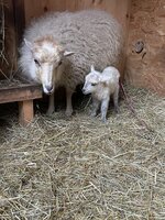 IMG_4778.jpeg
