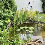 98CDEC7B-D631-471D-A88E-1CEFEE8252F3.jpeg