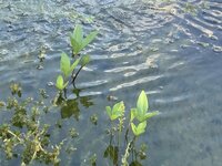 IMG_8836.jpeg