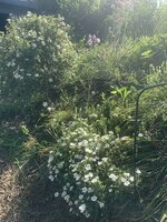 IMG_8813.jpeg