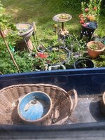 20240605_145843.jpg