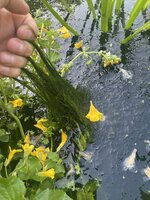 IMG_3648.jpeg