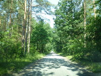 P1030774.JPG