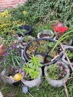20240610_115211.jpg