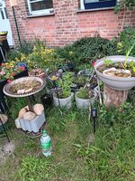 20240610_115146.jpg