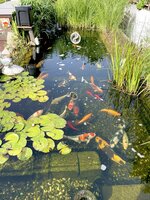 IMG_5293.jpeg