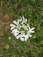 IMG_9841.JPG