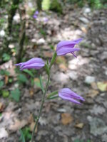 IMG_9893.JPG