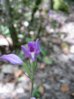 IMG_9892.JPG