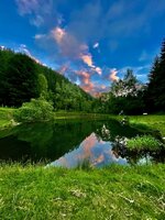 IMG_5347.jpeg