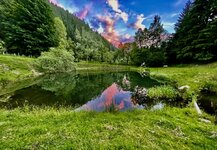 IMG_5346.jpeg