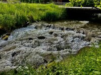 IMG_5330.jpeg
