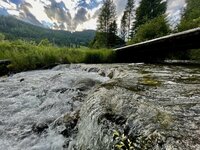 IMG_5329.jpeg