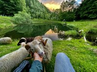 IMG_5340.jpeg