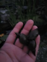 20240617_222132.jpg