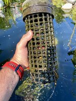 IMG_5370.jpeg