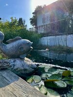 IMG_5411.jpeg