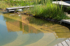 _DSC3426.jpg