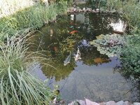 IMG_20240626_192801.jpg