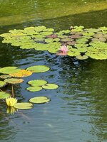 IMG_3810.jpeg