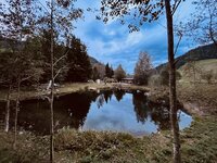 IMG_6435.jpeg