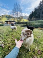 IMG_6714.jpeg