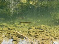 IMG_6721.jpeg