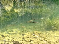 IMG_6720.jpeg