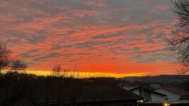 IMG_7048.jpeg
