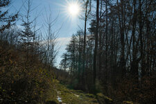 DSC05123.jpg