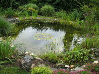IMG_3579.JPG
